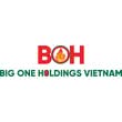 CÔNG TY CỔ PHẦN BẤT ĐỘNG SẢN BIG ONE HOLDINGS VIỆT NAM